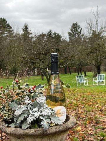 "Aux Chants Des Oiseaux" Domaine De La Renardiere Les Grandes-Loges Exterior photo
